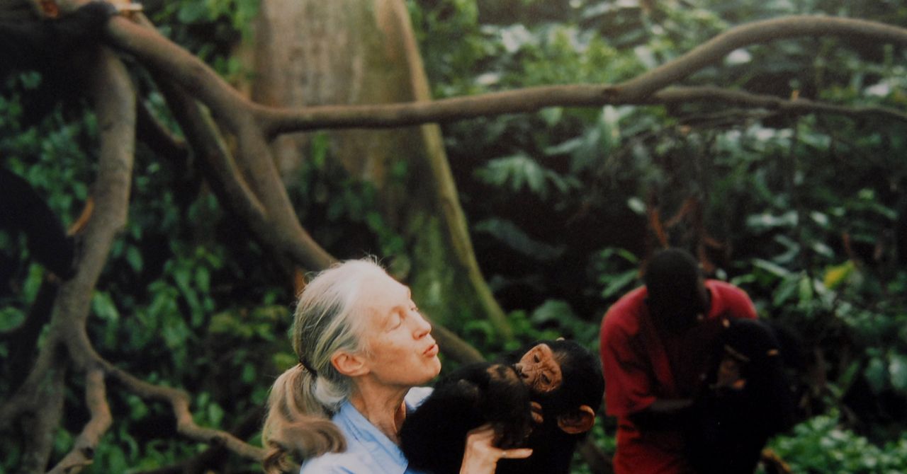 These 11 Nature Documentaries Will Make You Want to Touch Grass