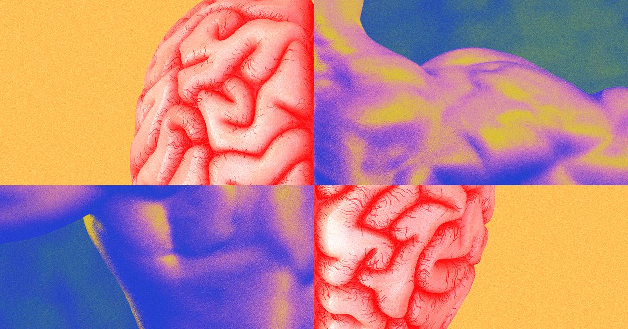 Muscle Memory Isn’t What You Think It Is