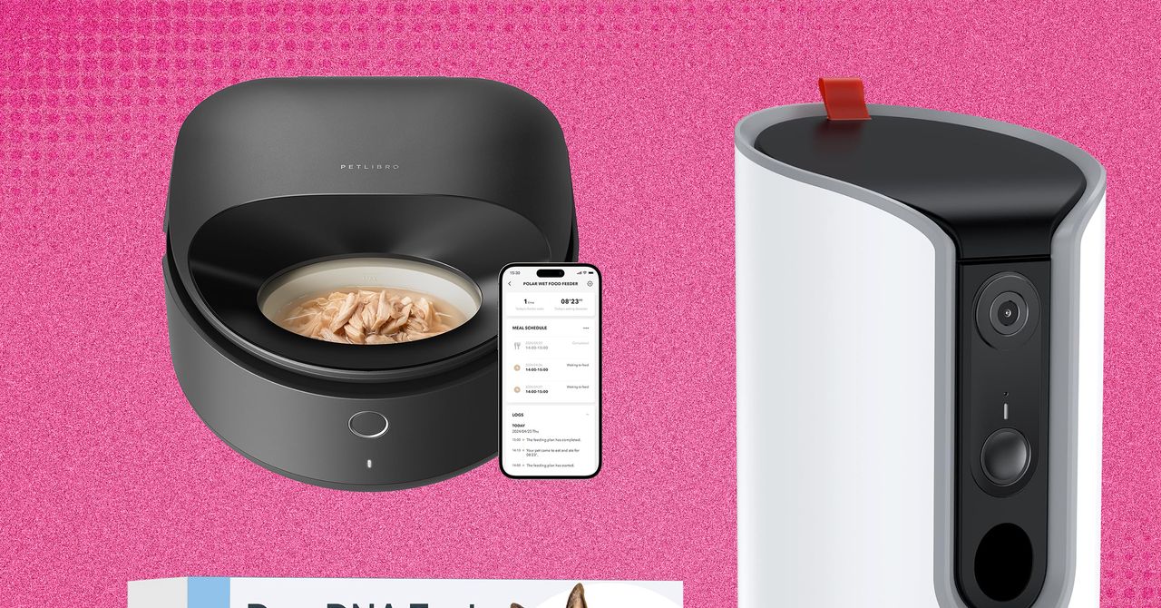 The 21 Best Early Amazon Pet Day Deals