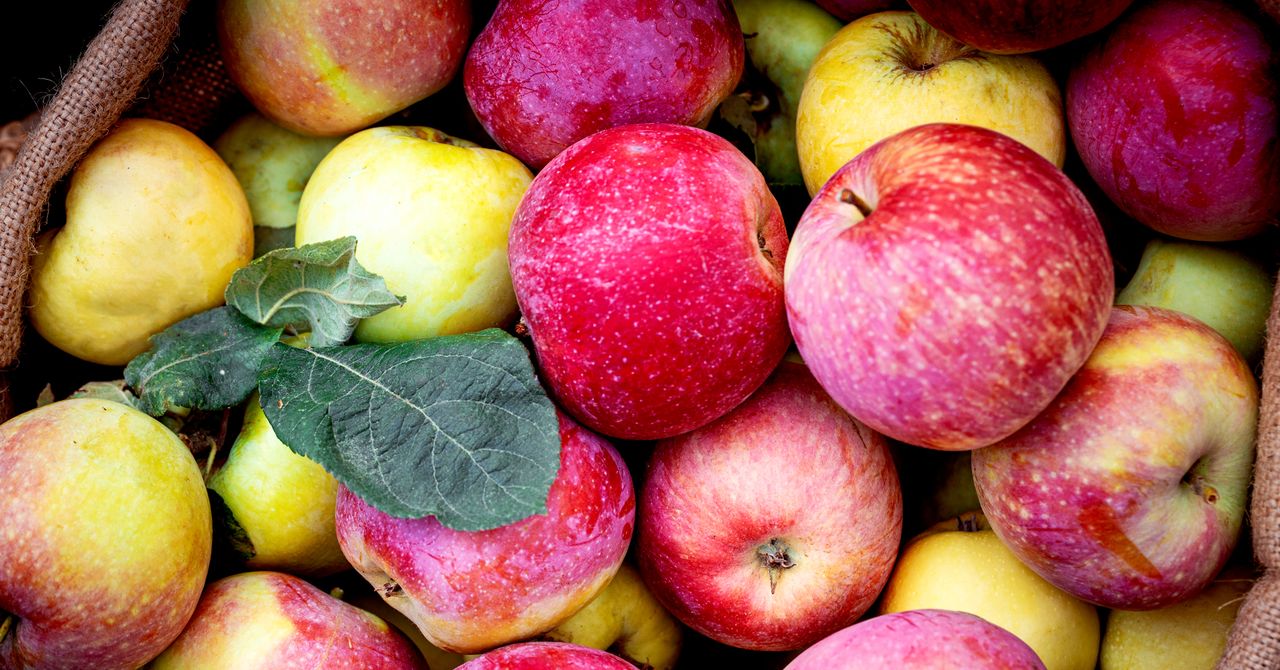 Trump’s Tariffs Are Threatening America’s Apple Juice Supply Chain