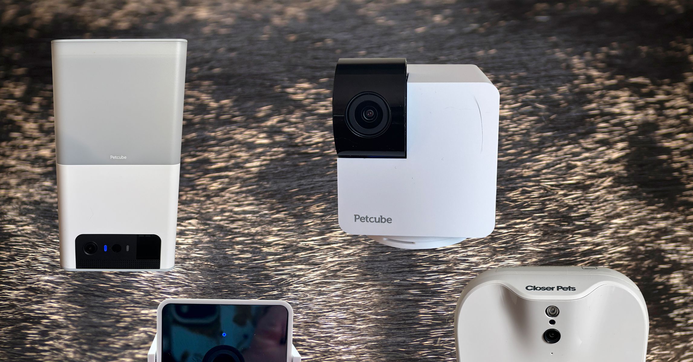 The Best Pet Cameras for Dogs and Cats