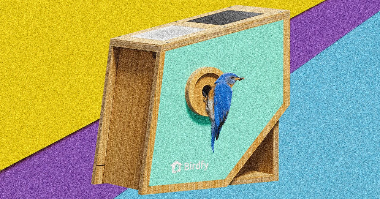 Birdfy’s Polygon Smart Birdhouse Wants to Make Your Backyard Visitors Famous