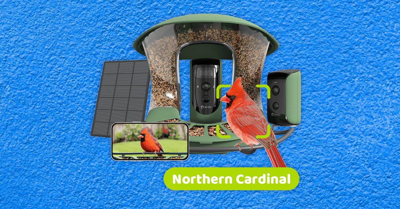 The Best Smart Bird Feeders for Backyard Birding