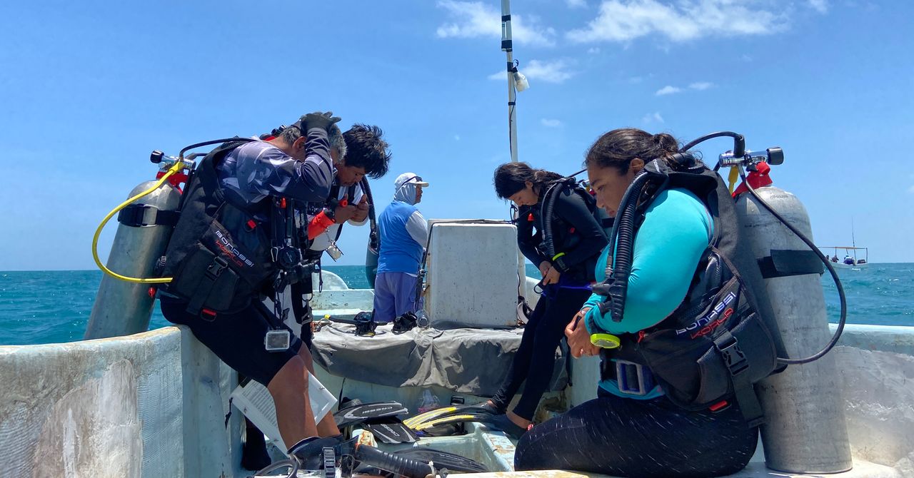 How Mexico’s Fishing Refuges Are Fighting Back Against Poaching