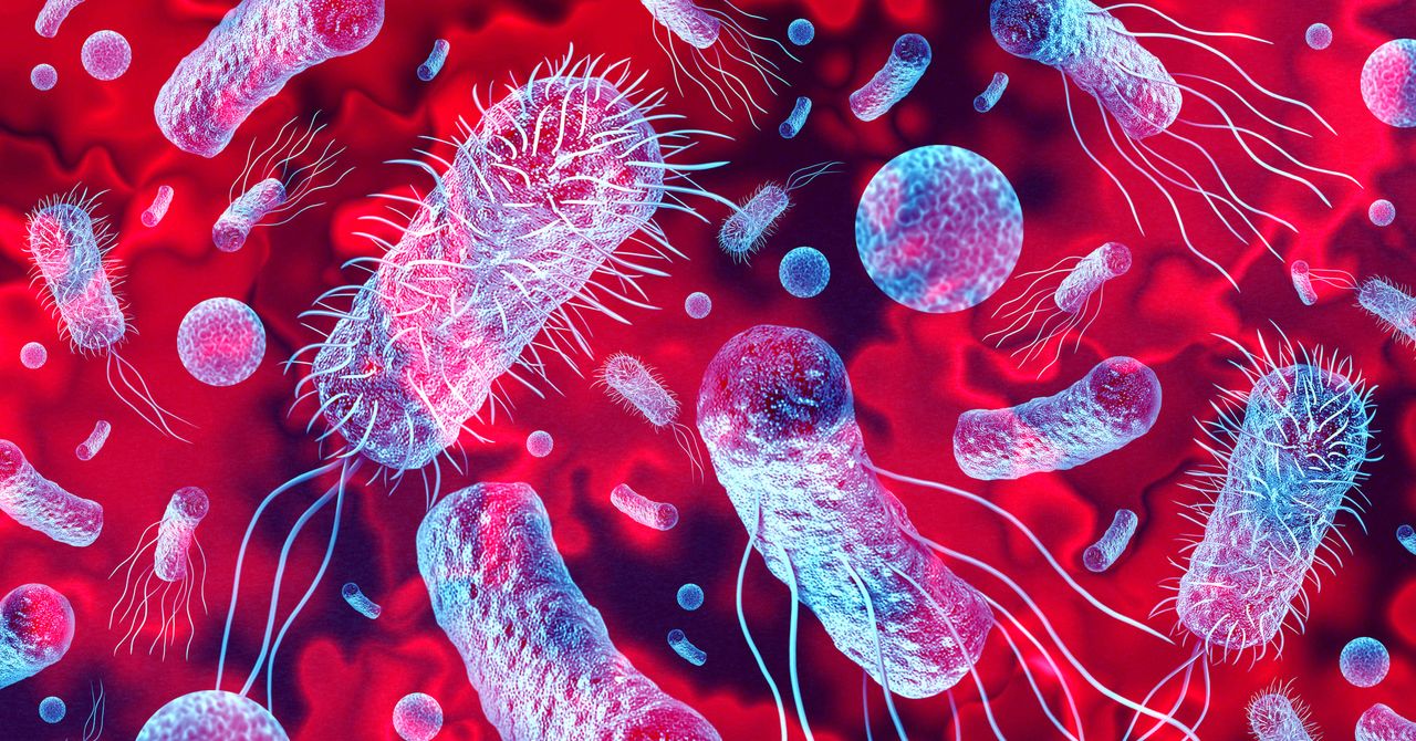 New Bacteria Have Been Discovered on a Chinese Space Station