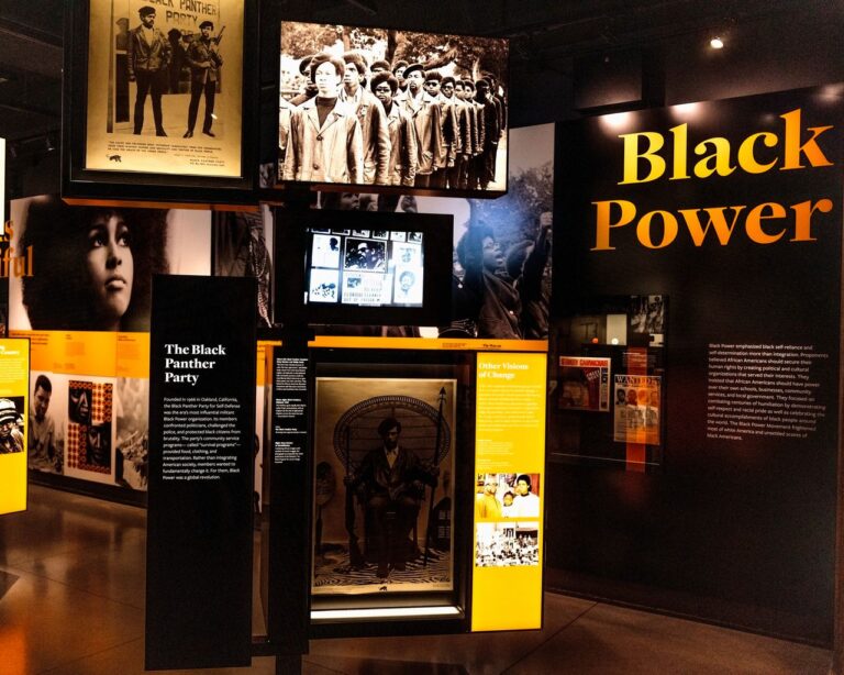 Trump Wants to Erase Black History. These Digital Archivists Are Racing to Save It