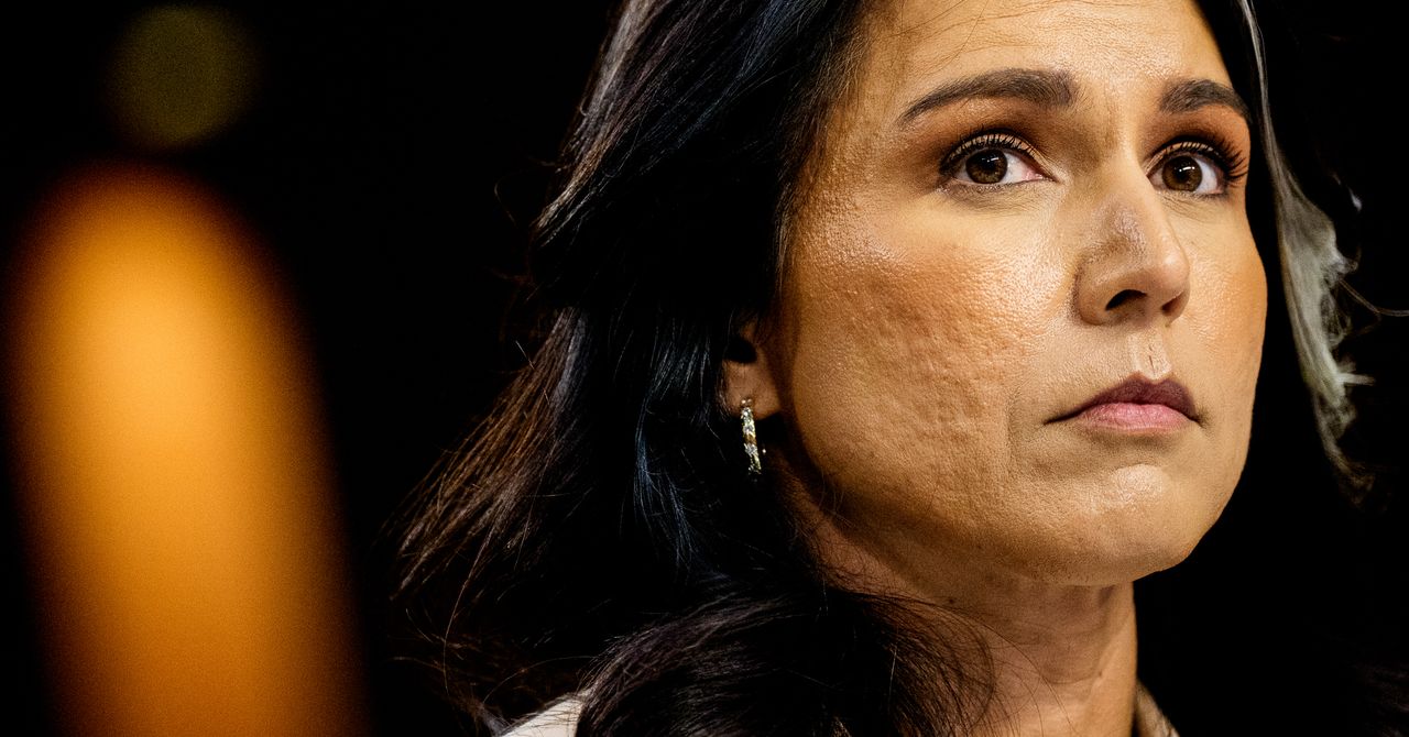 Tulsi Gabbard Reused the Same Weak Password on Multiple Accounts for Years