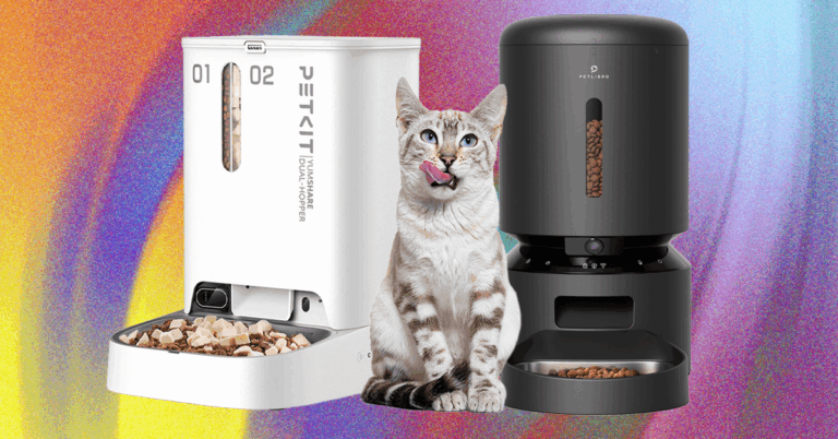These 7 Automatic Pet Feeders Are the Cat’s Meow
