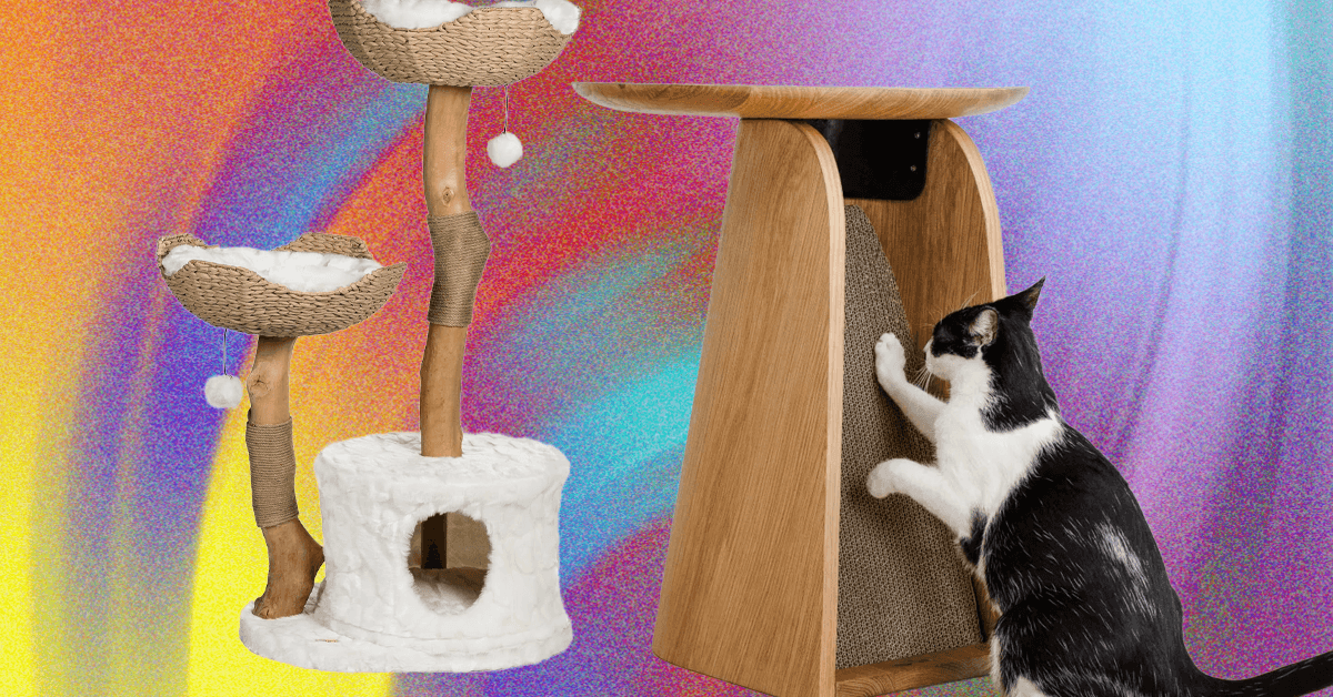 The Best WIRED-Tested Cat Toys for Your Sophisticated Fur Baby