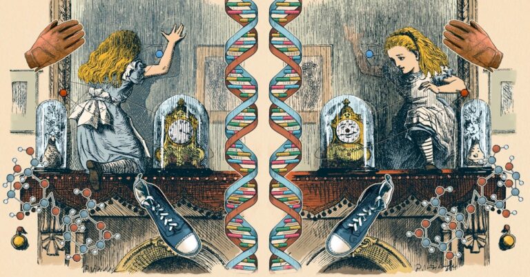 How the Universe and Its Mirrored Version Are Different