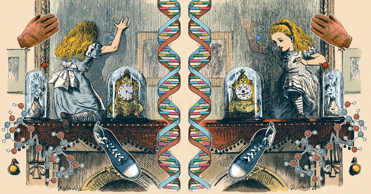 How the Universe and Its Mirrored Version Are Different