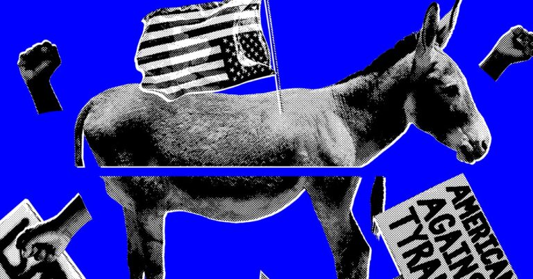 How Democrats Are Meeting (and Missing) the Moment