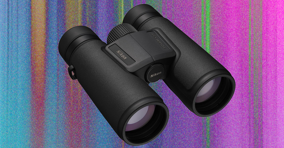 The Best Binoculars to Help You Find the Ivory Billed Woodpecker