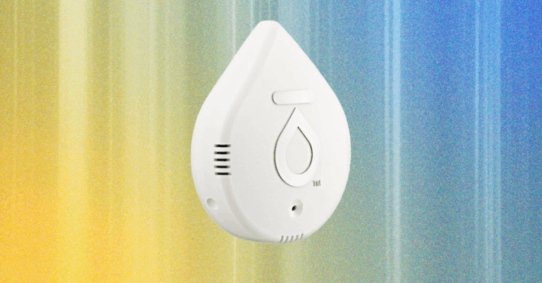 Keep Your Home Safe and Dry With the Best Water Leak Detectors