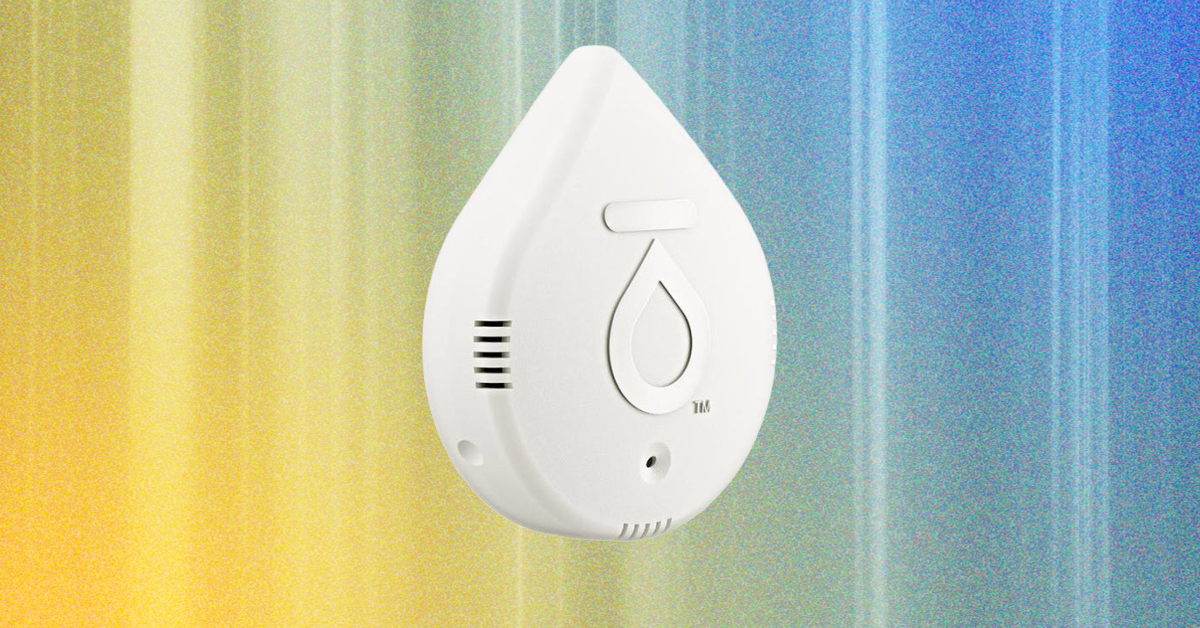 Keep Your Home Safe and Dry With the Best Water Leak Detectors