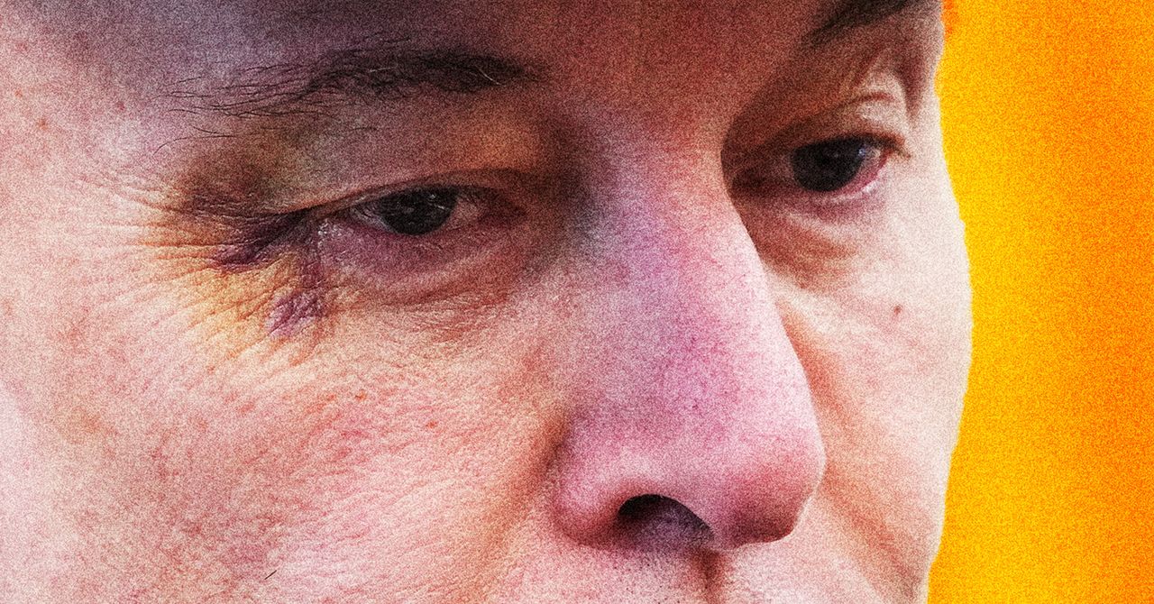 Elon Musk Is Posting Through It