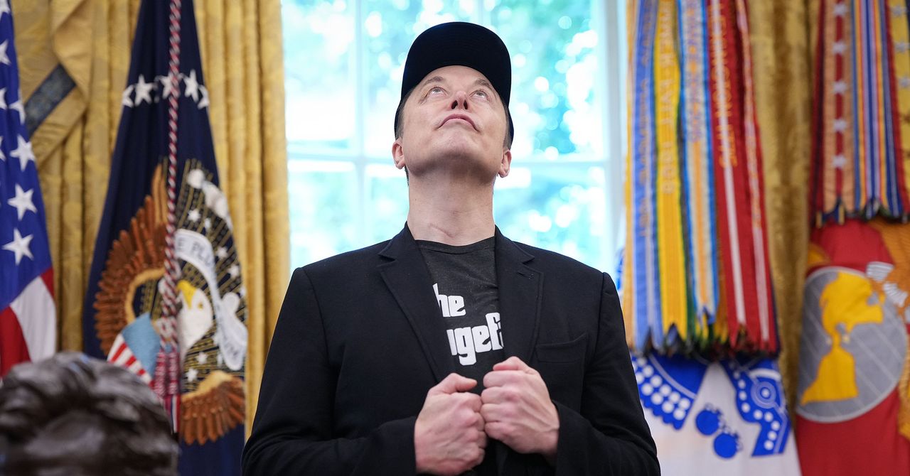 ‘100% Stupid’: MAGA World Is Cautiously Turning on Elon Musk