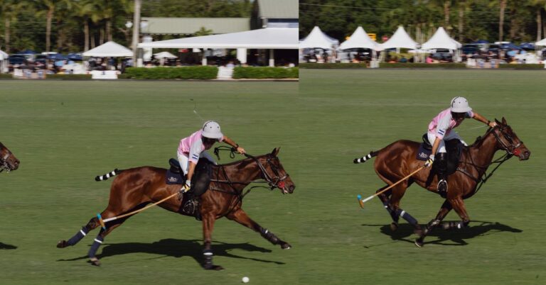 Cloning Came to Polo. Then Things Got Truly Uncivilized