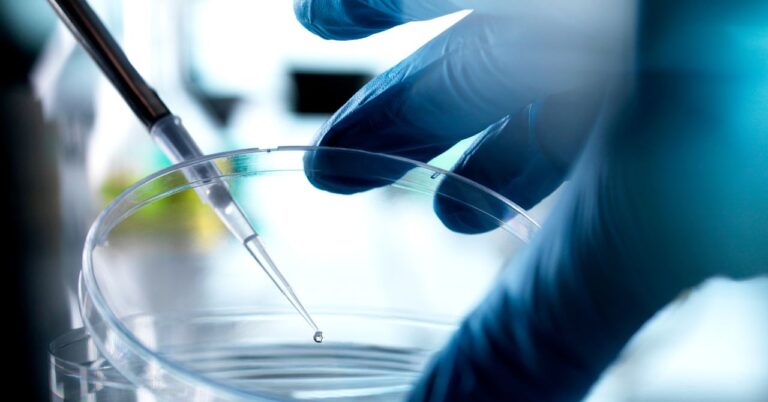 Florida Is Now a Haven for Unproven Stem-Cell Treatments