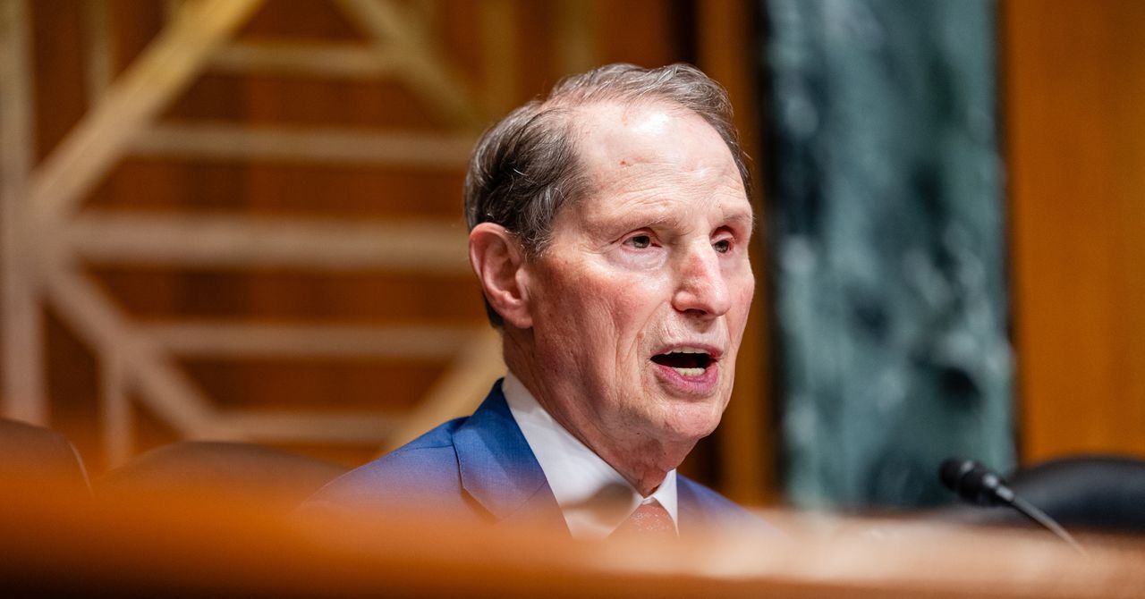 US Senator Urges DHS to Probe Whether Agents Were Moved From Criminal Cases to Deportations