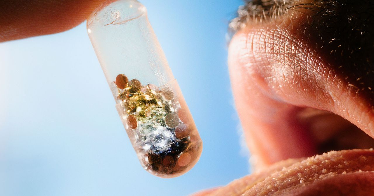 Does Anyone Know What ‘Wellness’ Means Anymore?