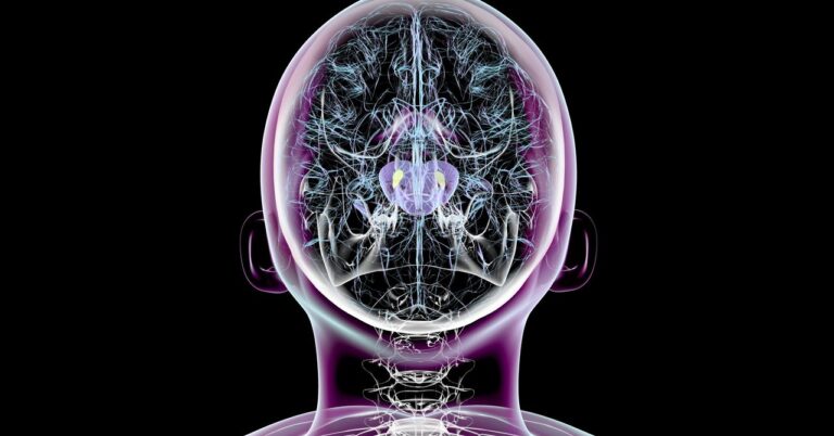 Scientists Succeed in Reversing Parkinson’s Symptoms in Mice