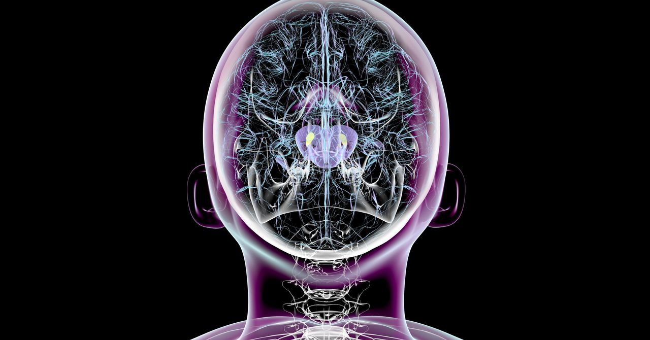 Scientists Succeed in Reversing Parkinson’s Symptoms in Mice