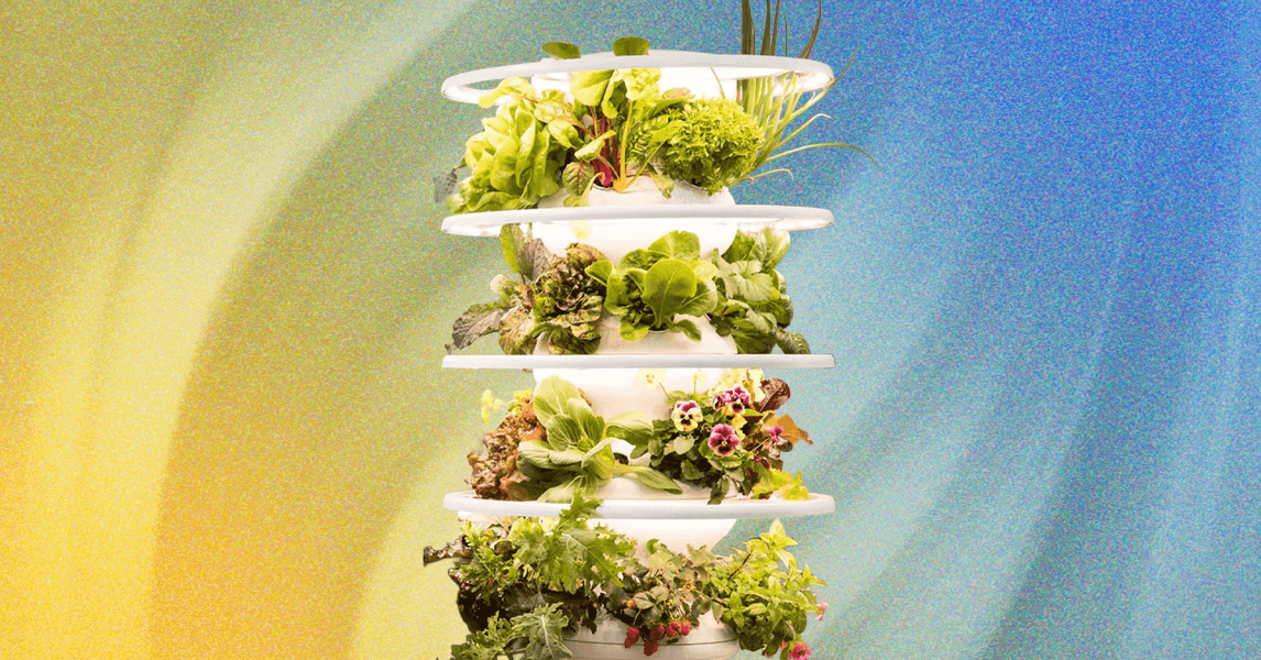 Lettuce Grow’s Indoor Farmstand Is Perfect, Except for a Few Bugs (Literally)