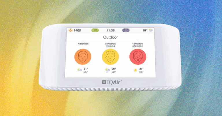 The Best Air Quality Monitors for Testing Your Air Indoors and Out