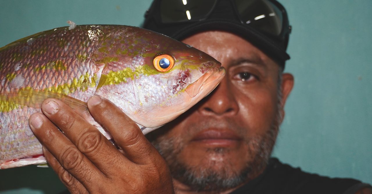 On Mexico’s Caribbean Coast, There’s Lobster for the Tourists and Microplastics for Everyone Else