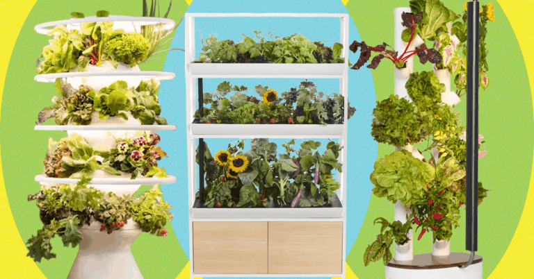 Which Indoor Gardening System Is Worth the Price? We Tried Them All