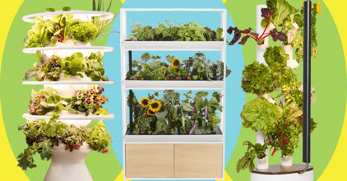 Which Indoor Gardening System Is Worth the Price? We Tried Them All