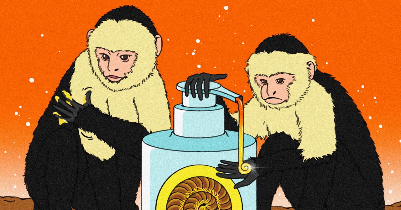 Animals Are the Original Wellness Influencers