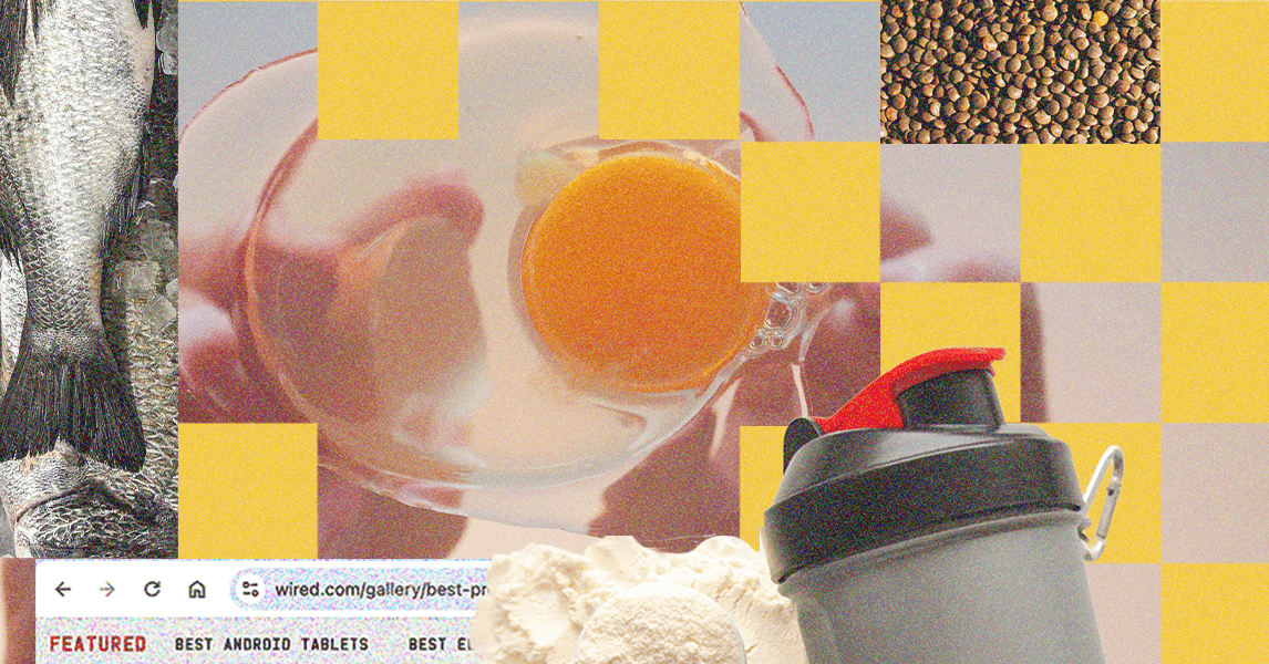 Relax, You’re Probably Getting Enough Protein