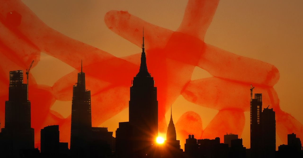 Climate Change Is Bringing Legionnaire’s Disease to a Town Near You