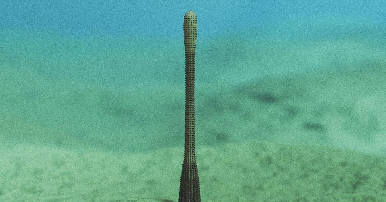 An Ancient Penis Worm With Rings of Sharp Teeth Has Been Discovered in the Grand Canyon