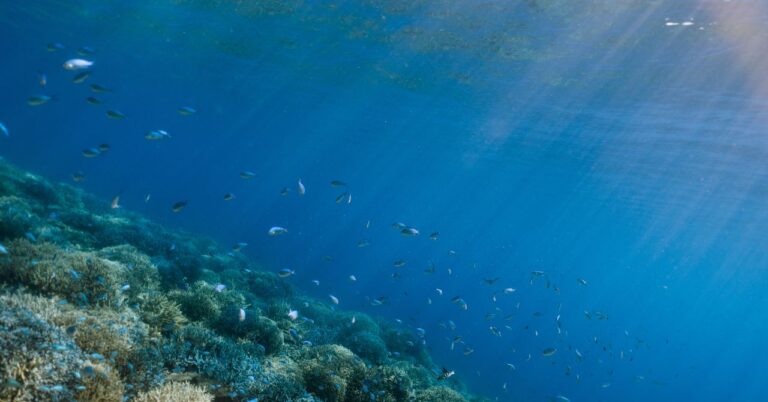 The World’s Oceans Are Hurtling Toward Breaking Point