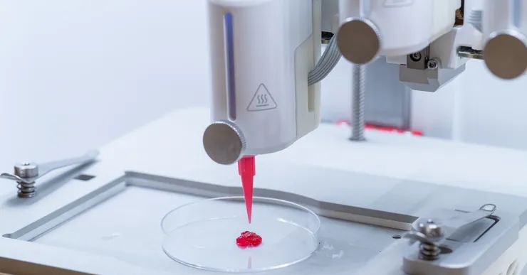 Researchers Create 3D-Printed Artificial Skin That Allows Blood Circulation