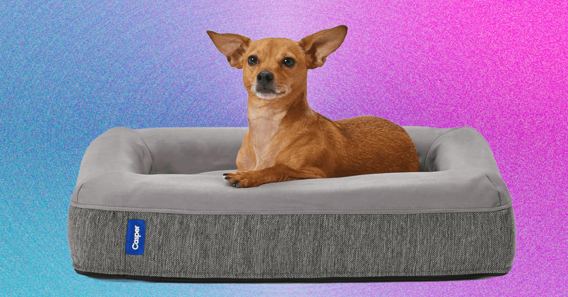 Our 8 Favorite Dog Beds for Every Kind of Dog