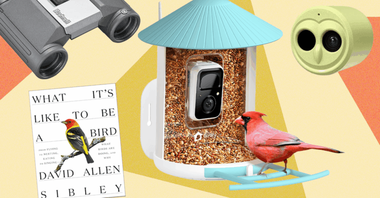 These Are Our 15 Favorite WIRED Gifts for Bird Lovers