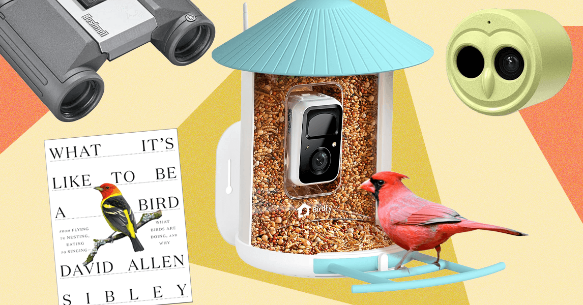 These Are Our 15 Favorite WIRED Gifts for Bird Lovers