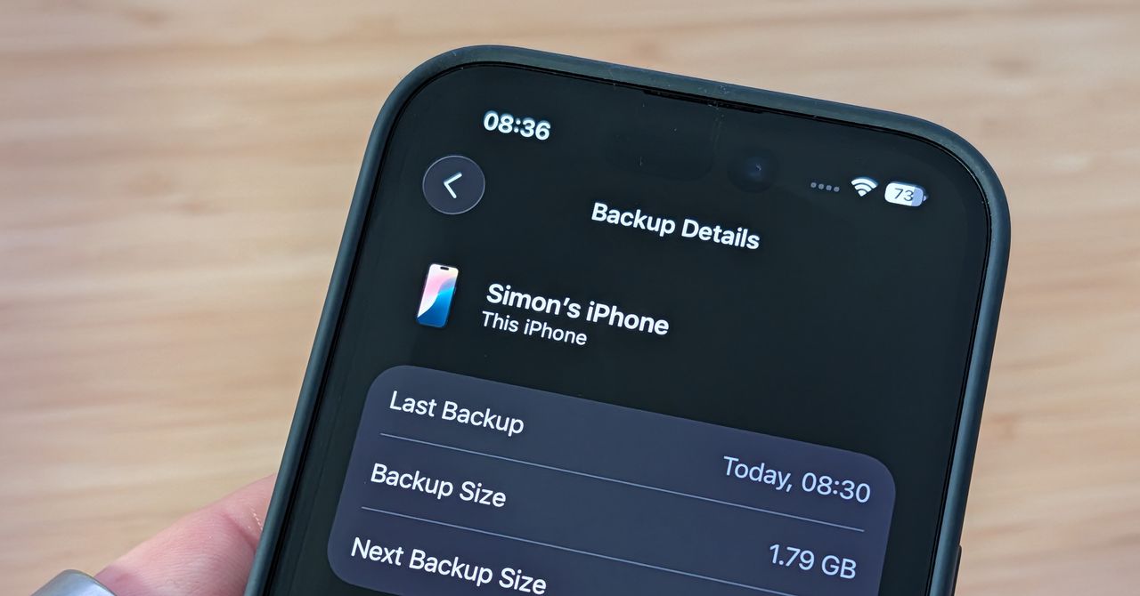 Be Smart and Back Up Your iPhone to Save Your Digital Life