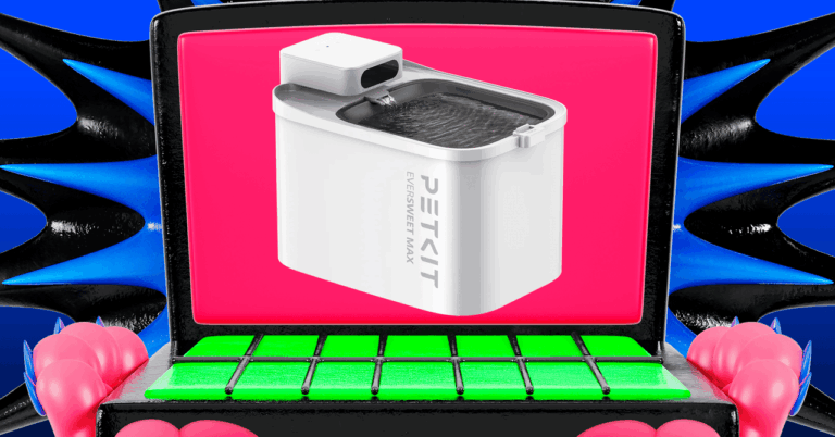 Your Cat Is Not Drinking Enough Water. This Discounted Fountain Can Help