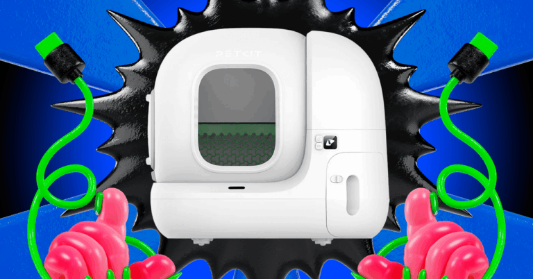 The Best Automatic Litter Box for Most People Is $150 Off Right Now