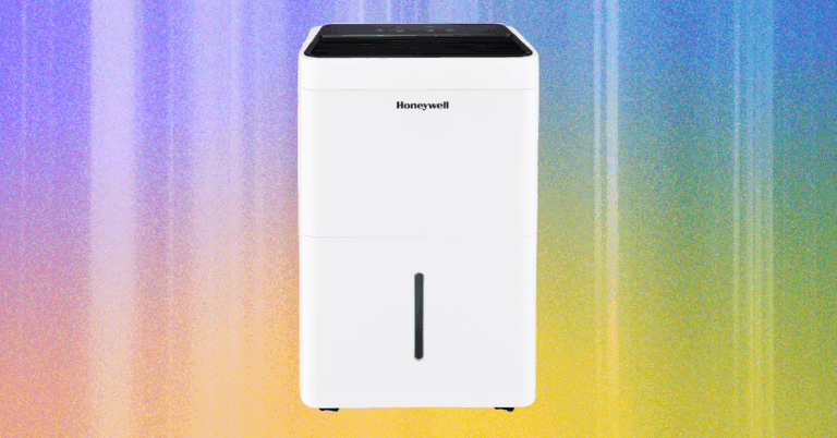 The Best Dehumidifiers to Keep Your Home Cool and Dry