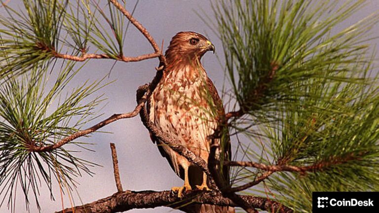 Jerome Powell and the Fed Have New Bearish Jobs Data to Mull