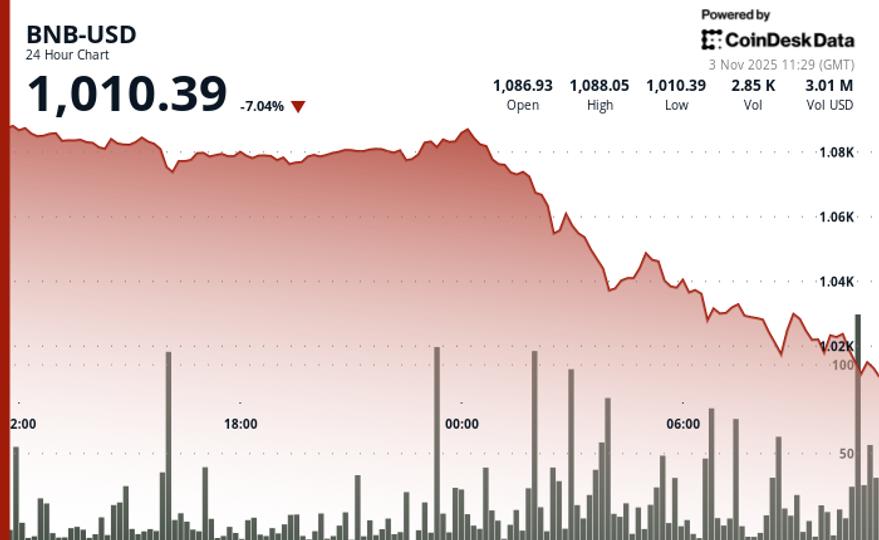 BNB Slides 6% to $1,020 as Price Breaks Below Key $1,080 Support Level